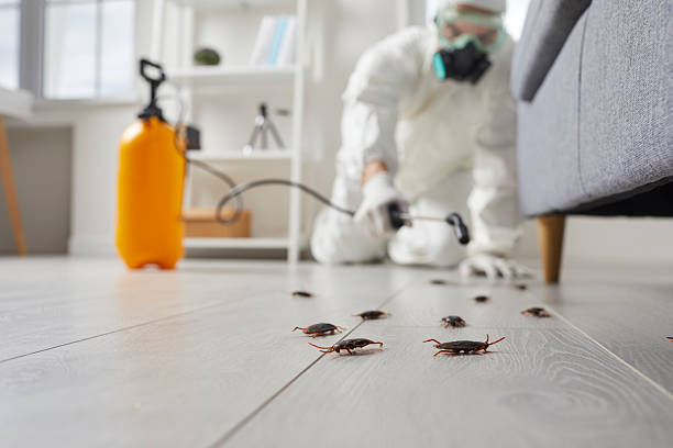 Trusted Fumigation Services service in Reedurban, OH - Nex Pest Control